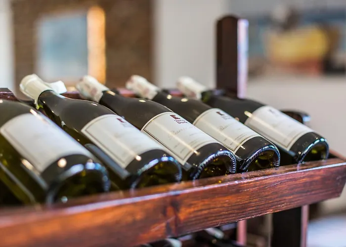 Słoneczny Dwór-wakacyjny Dom Dom wakacyjny Krynica Morska